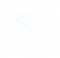 Ícone de IA para dúvidas técnicas em campo.