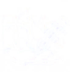 Tela de formulário dinâmico com campos configuráveis.